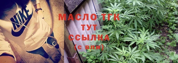 гашик Вязьма