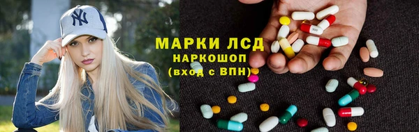 дживик Аркадак