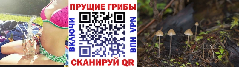 Галлюциногенные грибы прущие грибы  закладки  KRAKEN tor  Орёл 